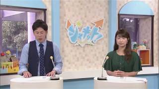 テレビ埼玉「シャキット！」が送るASKアカデミー・ジャパンの秘密！
